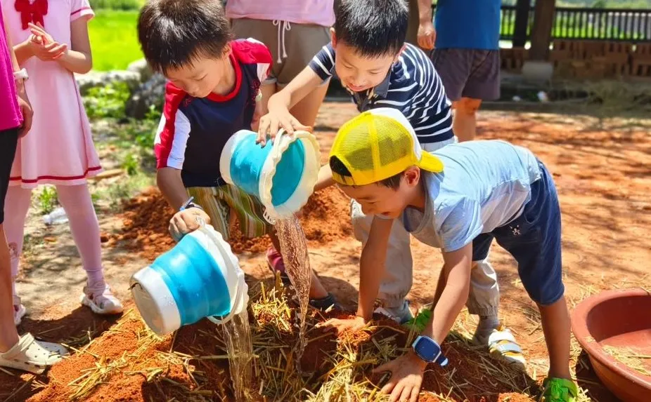 然后在坑里加入适量的水