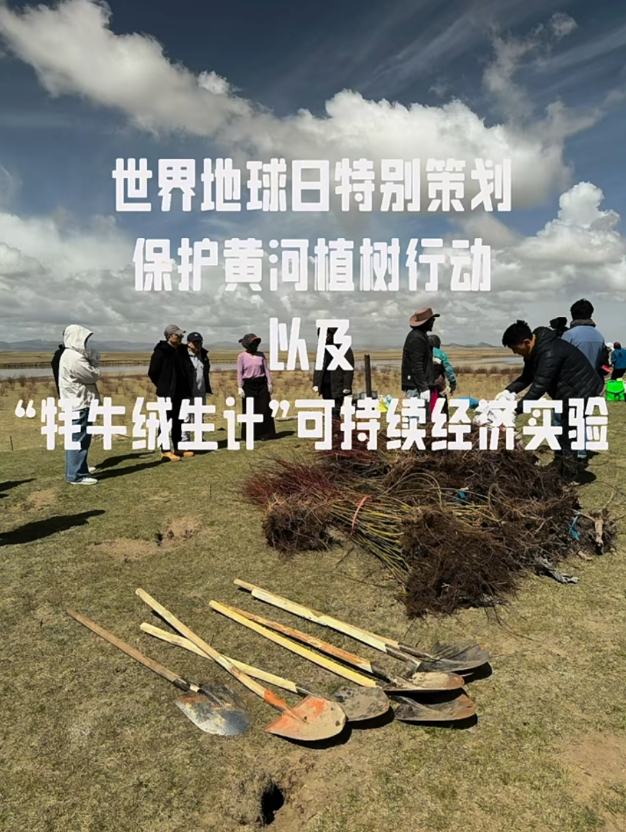 跨学科实践